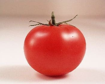 A tomato is sitting on the table