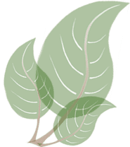 leafgraphic