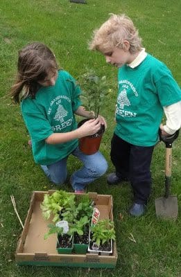 Two children in green shirts holding a plant.